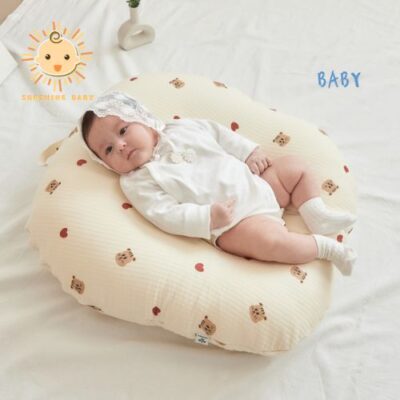 Gối Chống Trào Ngược Rototo Bebe